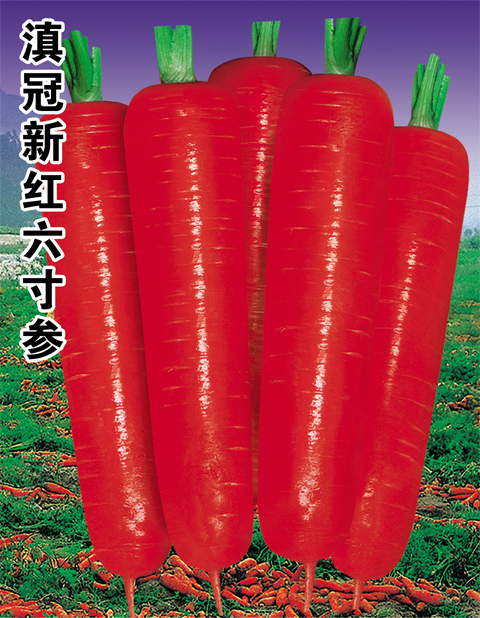 (不干膠)滇冠新紅六寸參