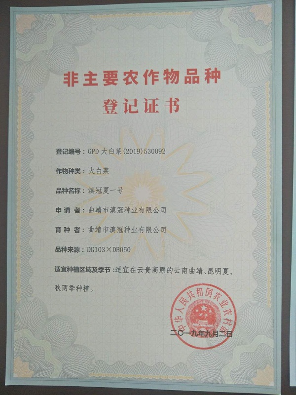非主要農(nóng)作物品種登記證書(shū)-滇冠夏一號(hào)