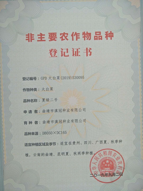 非主要農(nóng)作物品種登記證書(shū)-大白菜夏綠二號(hào)