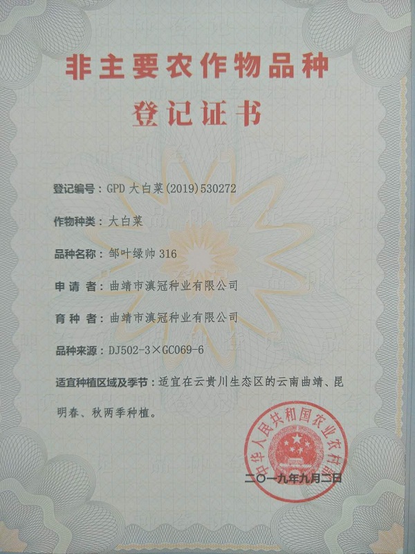非主要農(nóng)作物品種登記證書(shū)-大白菜鄒葉綠帥316