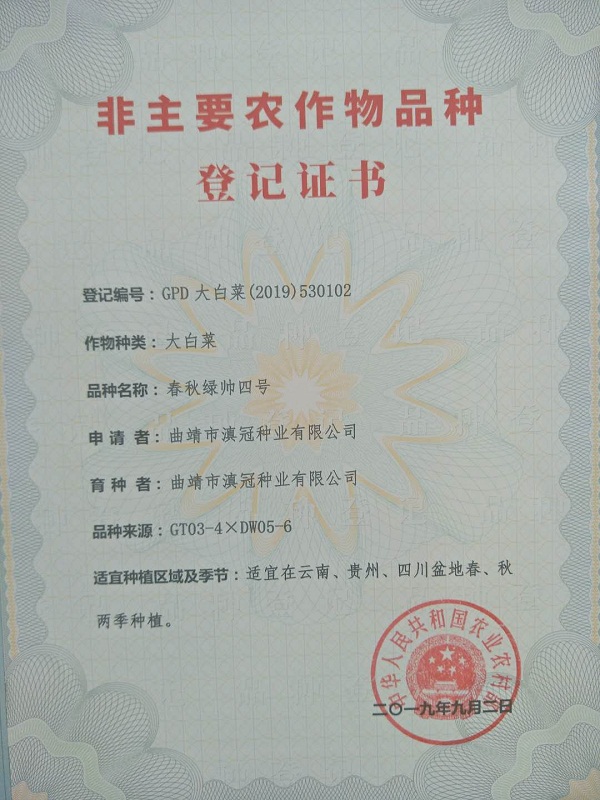 非主要農(nóng)作物品種登記證書(shū)-大白菜春秋綠帥四號(hào)