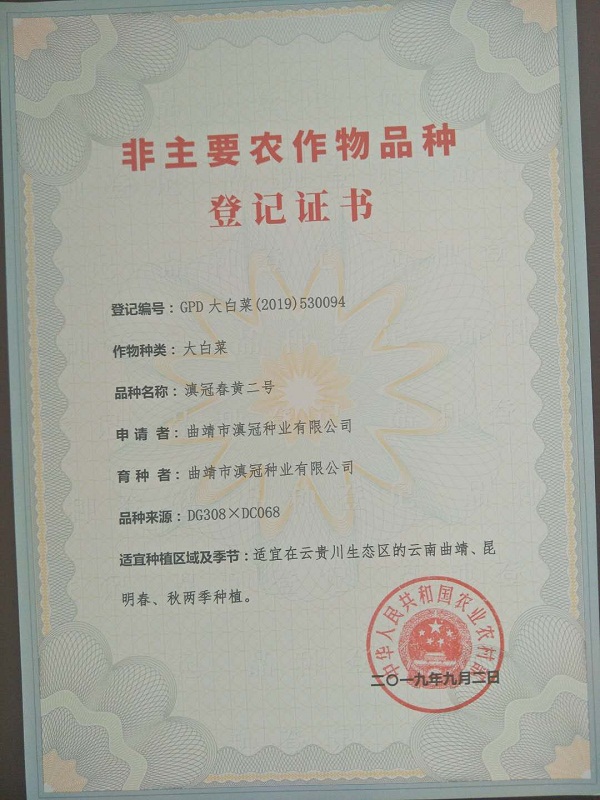 非主要農(nóng)作物品種登記證書(shū)-滇冠春黃二號(hào)