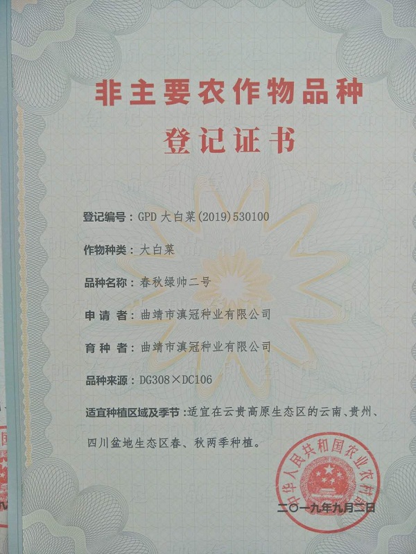 非主要農(nóng)作物品種登記證書(shū)-大白菜春秋綠帥二號(hào)