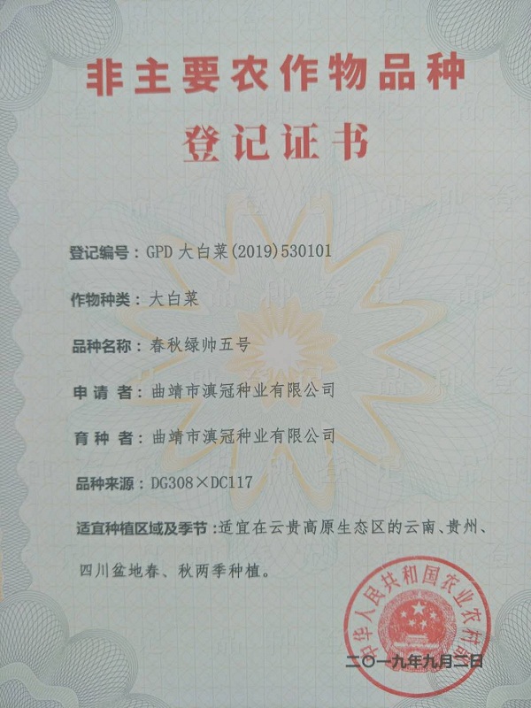 非主要農(nóng)作物品種登記證書(shū)-大白菜春秋綠帥五號(hào)